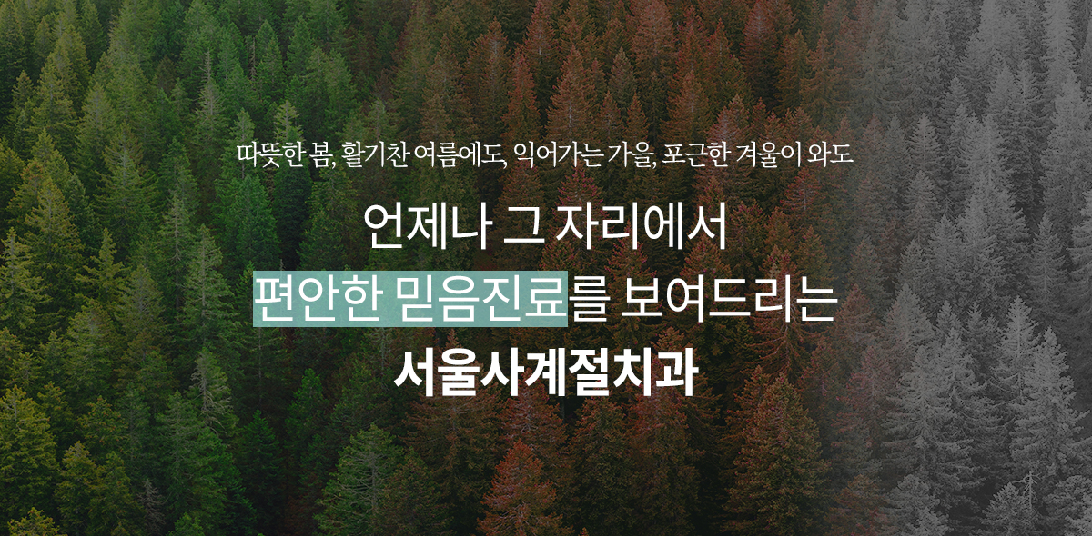 슬라이드1